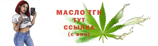 гидра Зеленодольск