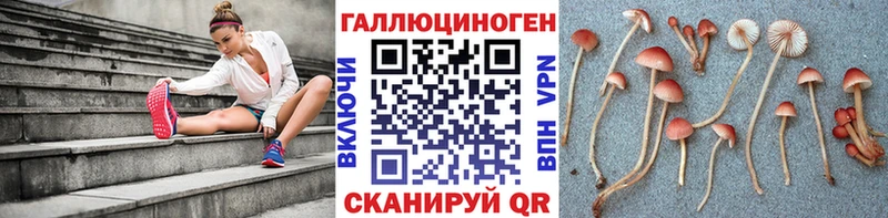 Галлюциногенные грибы Psilocybine cubensis  купить наркоту  Калининск 